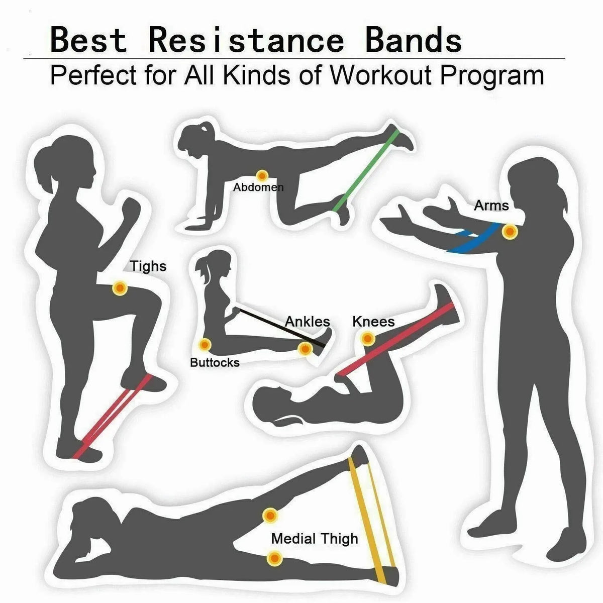 Premium Loop Resistance Bands For Gym Fitness And Strength Training
