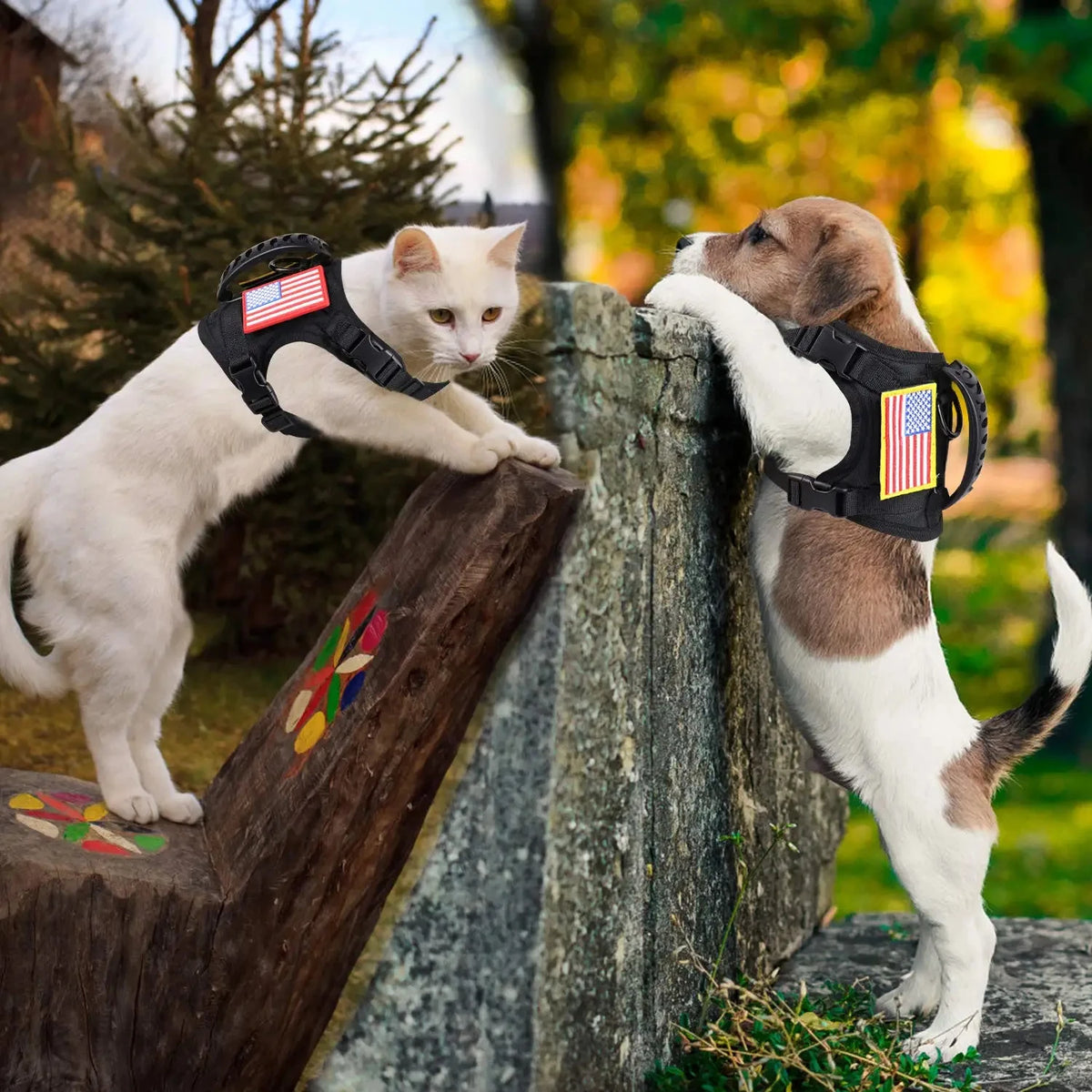 Petavel Tactical Puppy Harness Leash Set Adjustable Nylon Vest