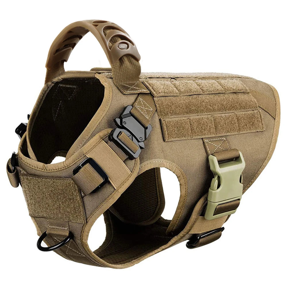 PetraVel Padded Nylon Dog Walking Harness And Leash Set