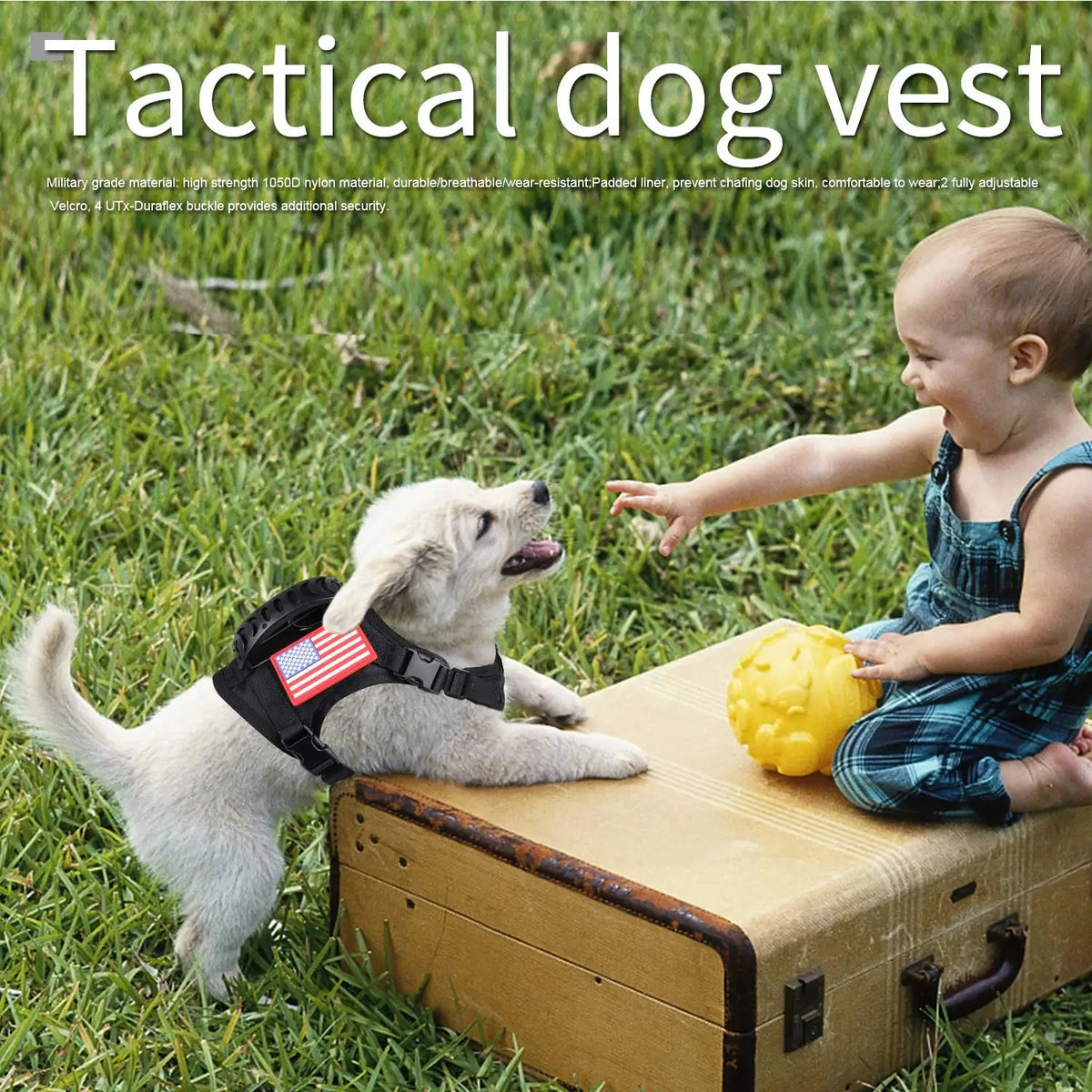 Petavel Tactical Puppy Harness Leash Set Adjustable Nylon Vest