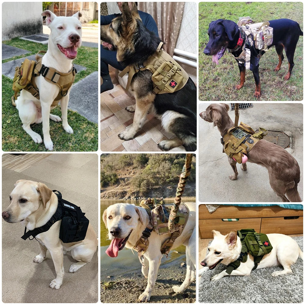 PetraVel Tactical Padded Dog Harness And Nylon Leash Set
