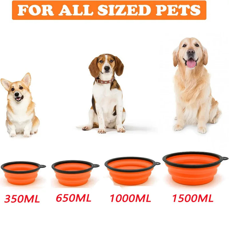 Foldable Portable Dog Feeder Bowl With Carabiner For Outdoor Travel