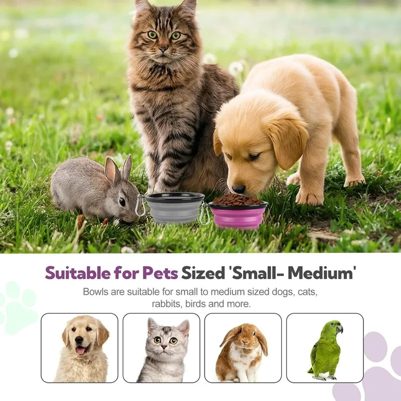 Foldable Portable Dog Feeder Bowl With Carabiner For Outdoor Travel