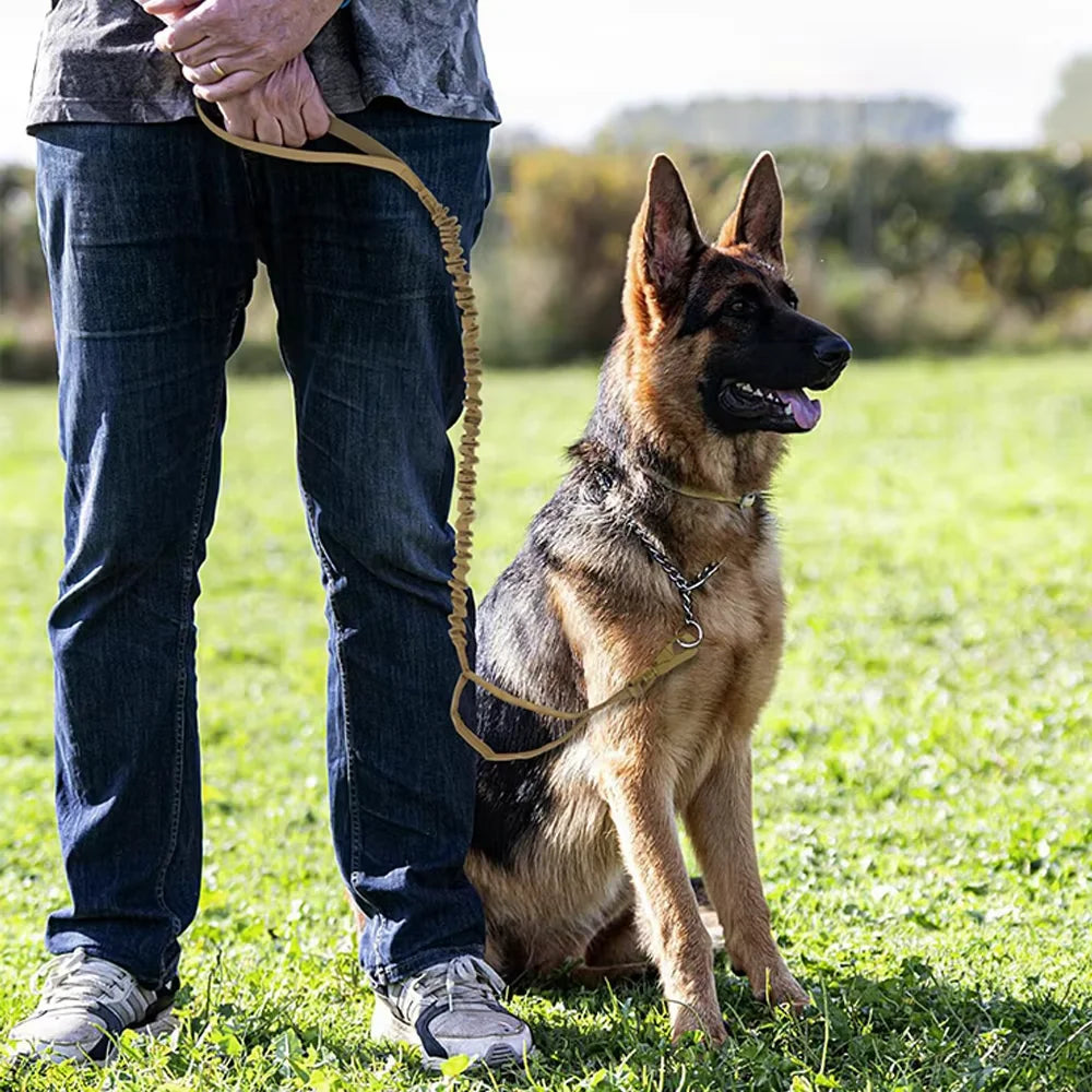 Petavel Adjustable Double Handle Nylon Dog Leash Quick Release Clip