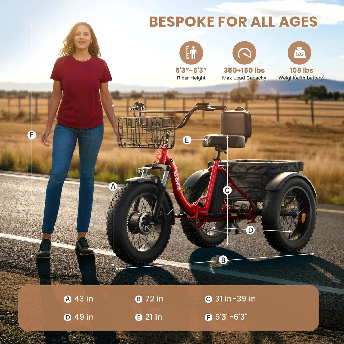 Qronge 1200W Electric Tricycle For Adults With Fat Tires