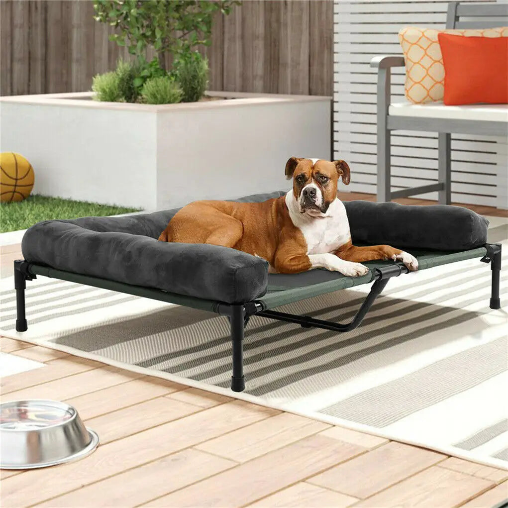 BINGOPAW Elevated Cooling Pet Lounger With Breathable Support