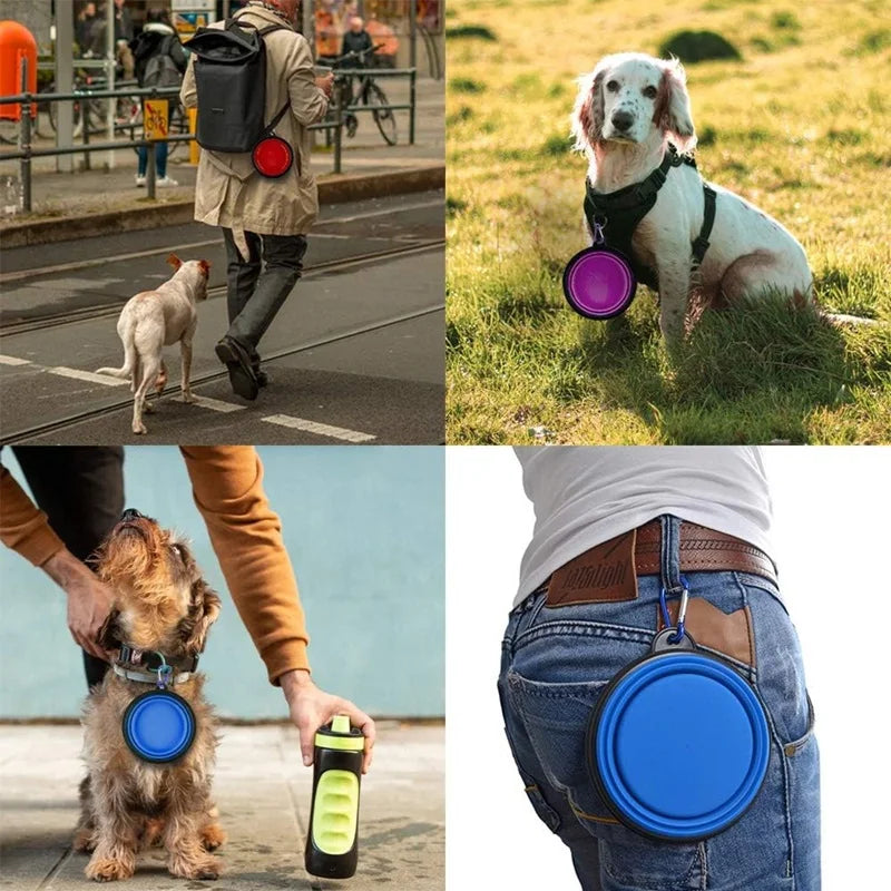 Foldable Portable Dog Feeder Bowl With Carabiner For Outdoor Travel