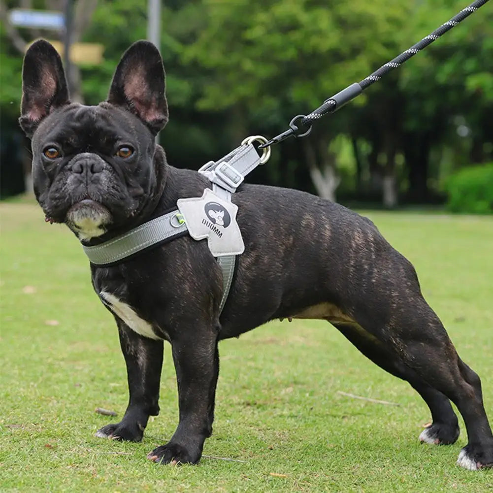 Dog Chest Strap Reflective Breathable Comfortable Puppy Harness Safe Anti-escape Adjustable Dogs Traction Leash Pet Supply